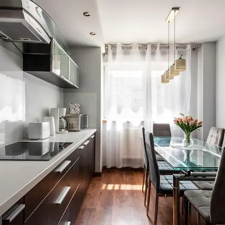 Paryski 4 90m2 2 Poziomy Ogrod Oranzeria 아파트 크라쿠프